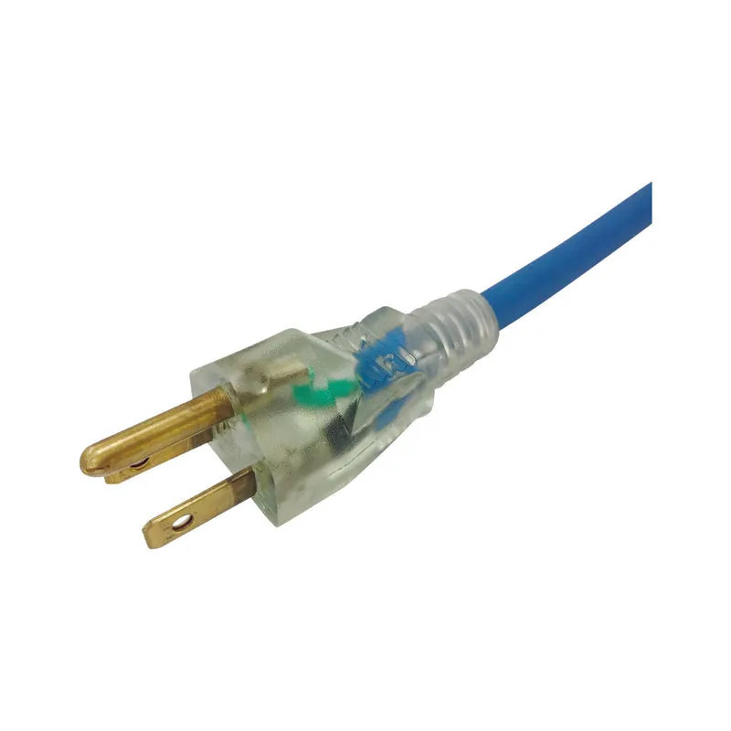 Ace Outdoor 100 ft. L Blue Extension Cord 16/3 SJOW
