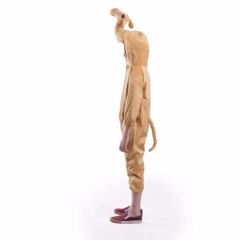 Camel Costume For Kids