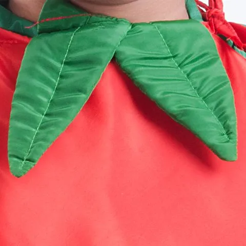 Green Chilli dress for boys and Girls for Fancy dress competitions