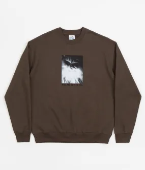 Polar Fifi Crewneck Sweatshirt - Brown
