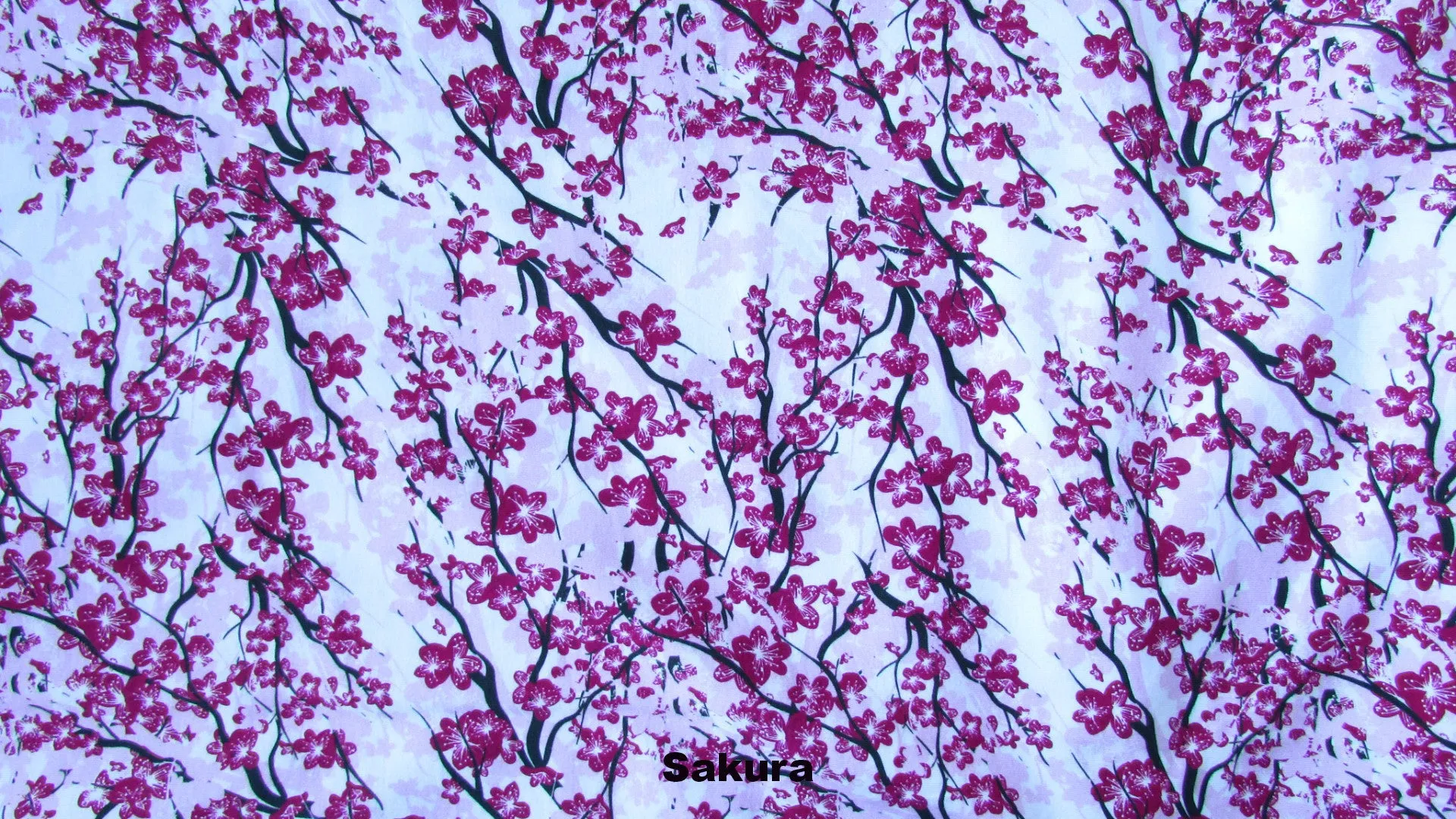 Size 1 Maxaloones: Girl Prints