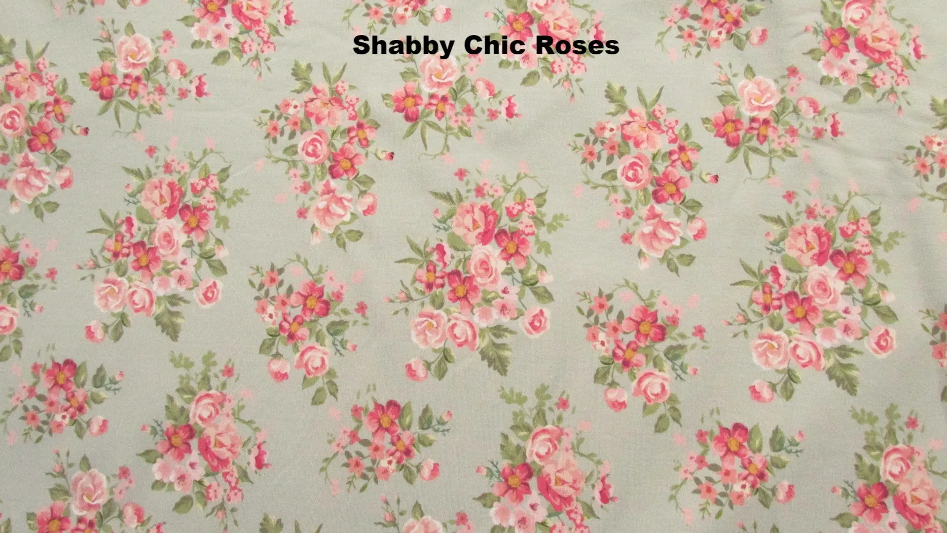 Size 1 Maxaloones: Girl Prints
