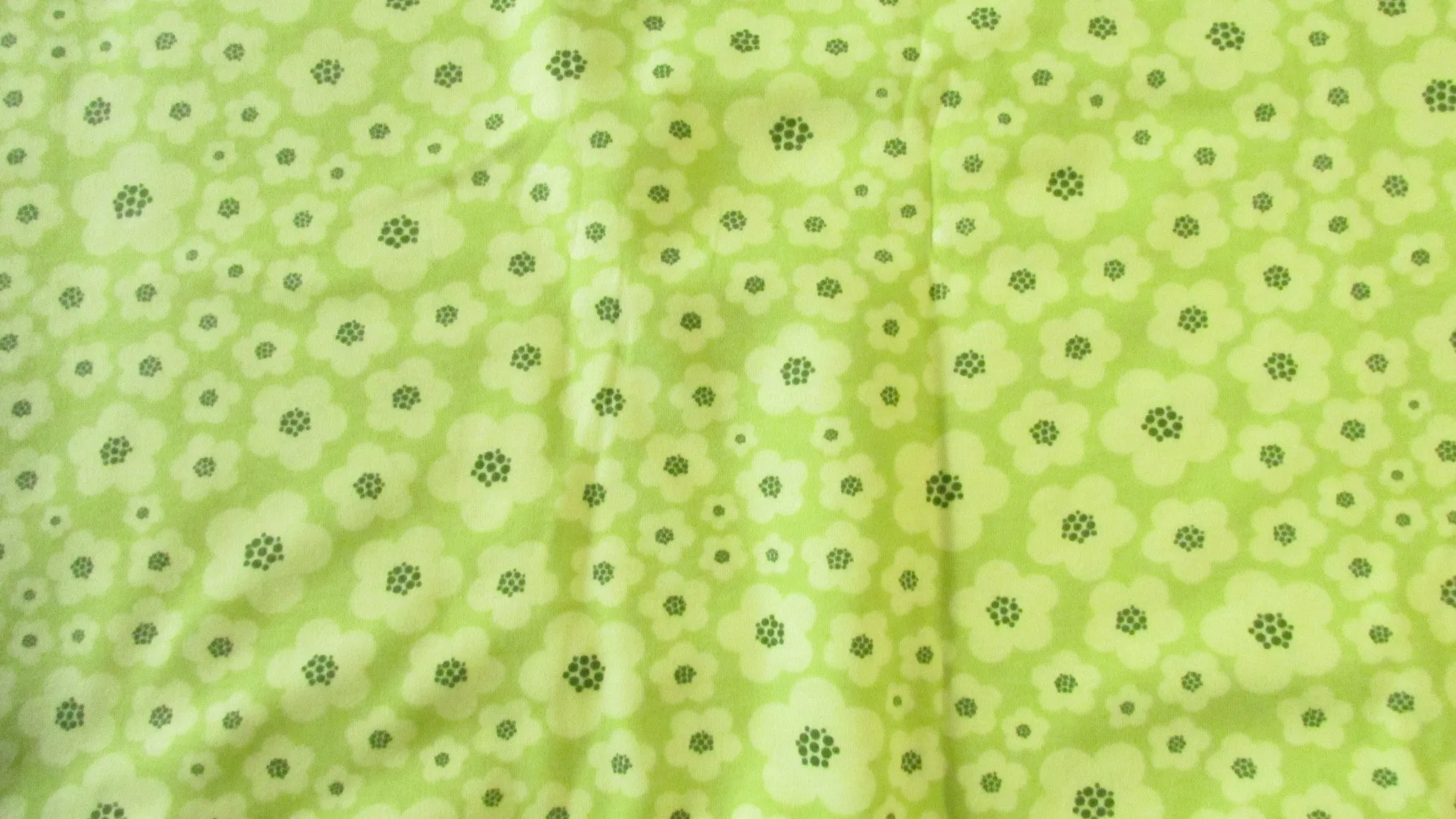 Size 1 Maxaloones: Girl Prints